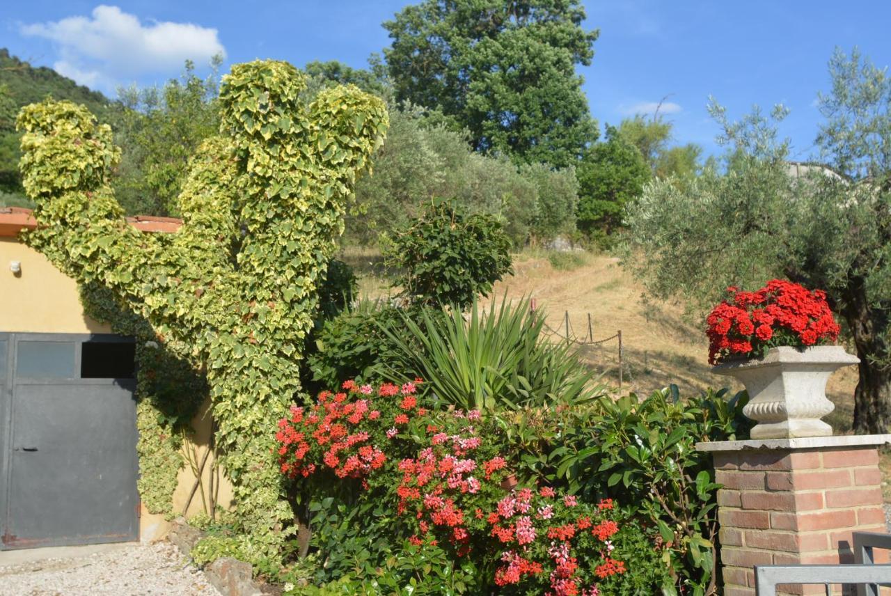 Villa Mischianti Gubbio Exterior foto