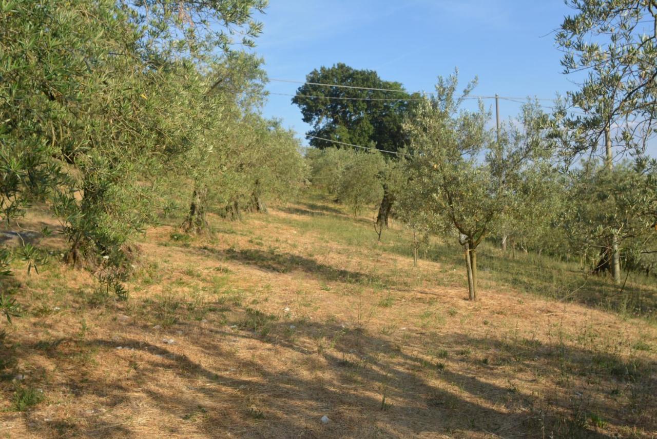 Villa Mischianti Gubbio Exterior foto